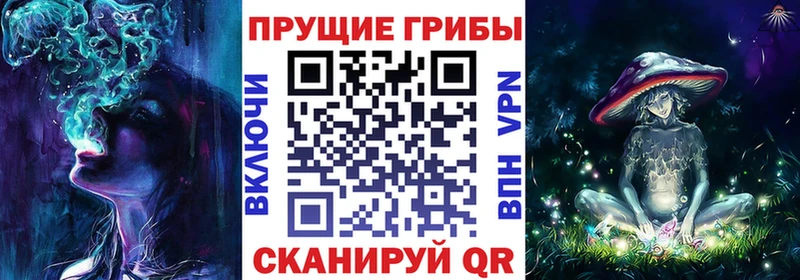 Галлюциногенные грибы Psilocybine cubensis  Каргополь 